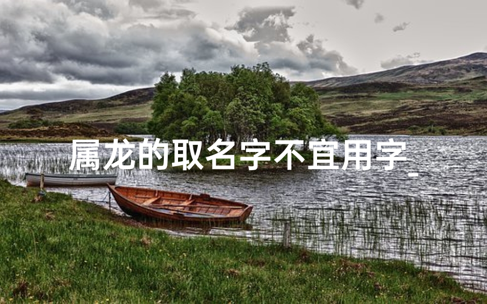 属龙的取名字不宜用字_属龙宝宝取名:以天为中心,探寻龙脉之名的独特魅力