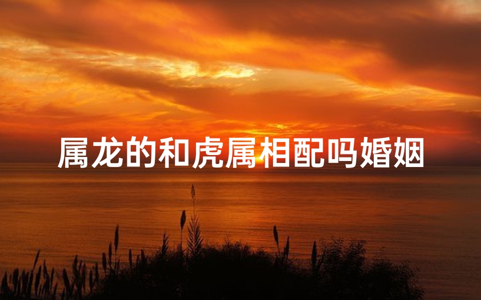 属龙的和虎属相配吗婚姻好吗