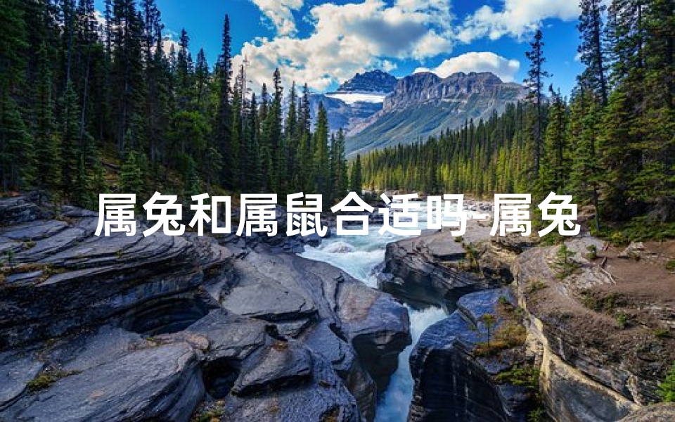 属兔和属鼠合适吗-属兔与属鼠能否结良缘?