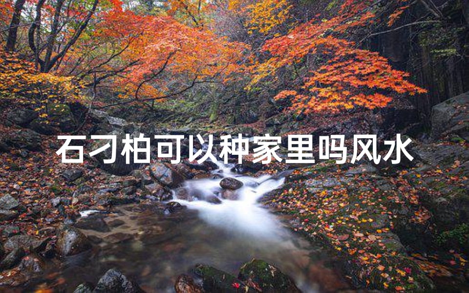 石刁柏可以种家里吗风水好吗、石刁柏植物