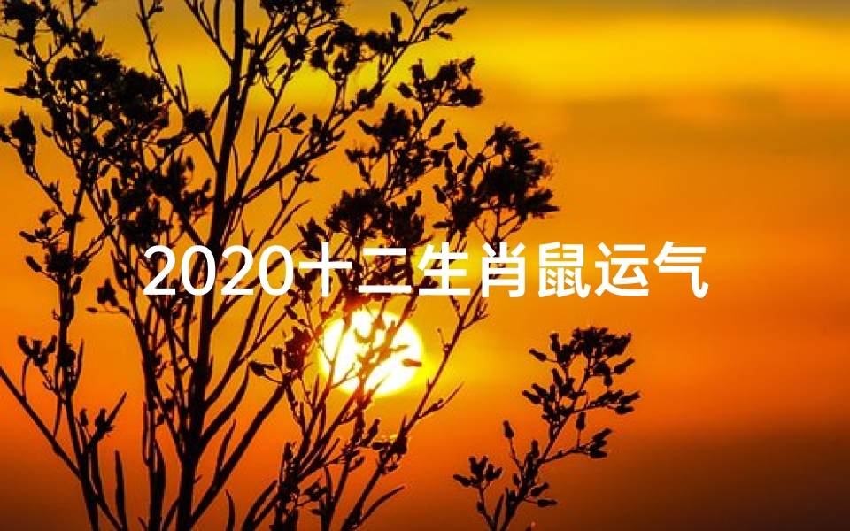 2020十二生肖鼠运气