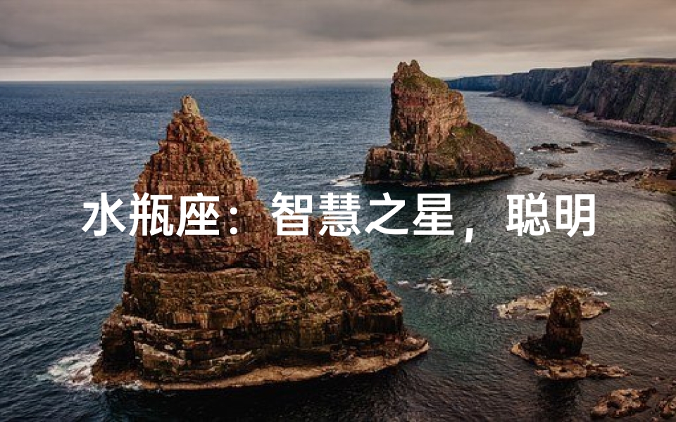 水瓶座:智慧之星,聪明程度揭秘