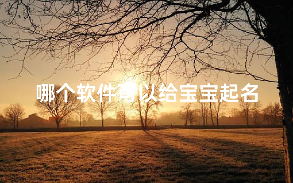 哪个软件可以给宝宝起名(取名最好的网站排行榜)