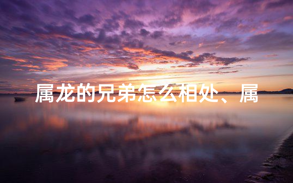 属龙的兄弟怎么相处、属龙兄弟相处之道:和谐共进,共创未来