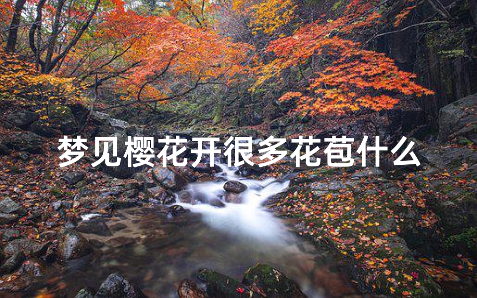 梦见樱花开很多花苞什么意思,梦见樱花开很漂亮