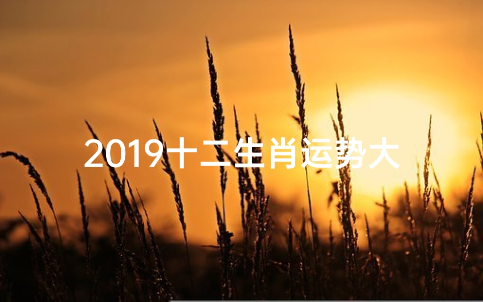 2019十二生肖运势大揭秘!