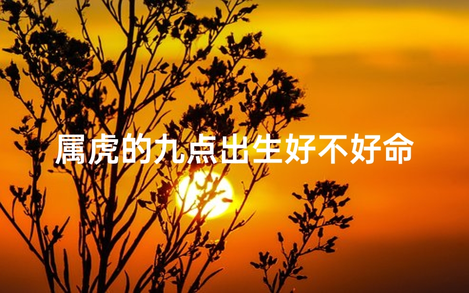 属虎的九点出生好不好命—属虎晚上九点多生好不好
