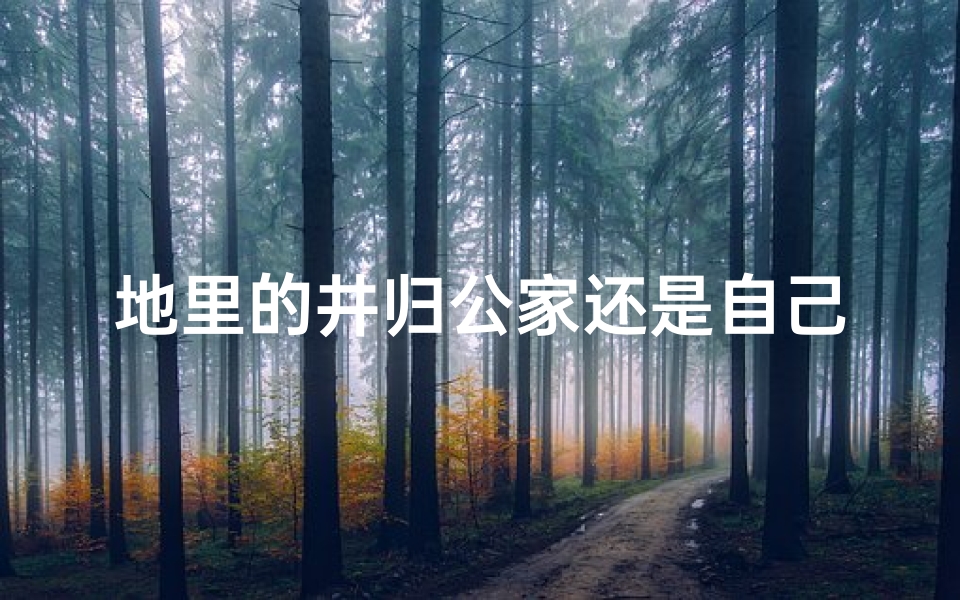 地里的井归公家还是自己?(庄稼地里的井风水之谜)
