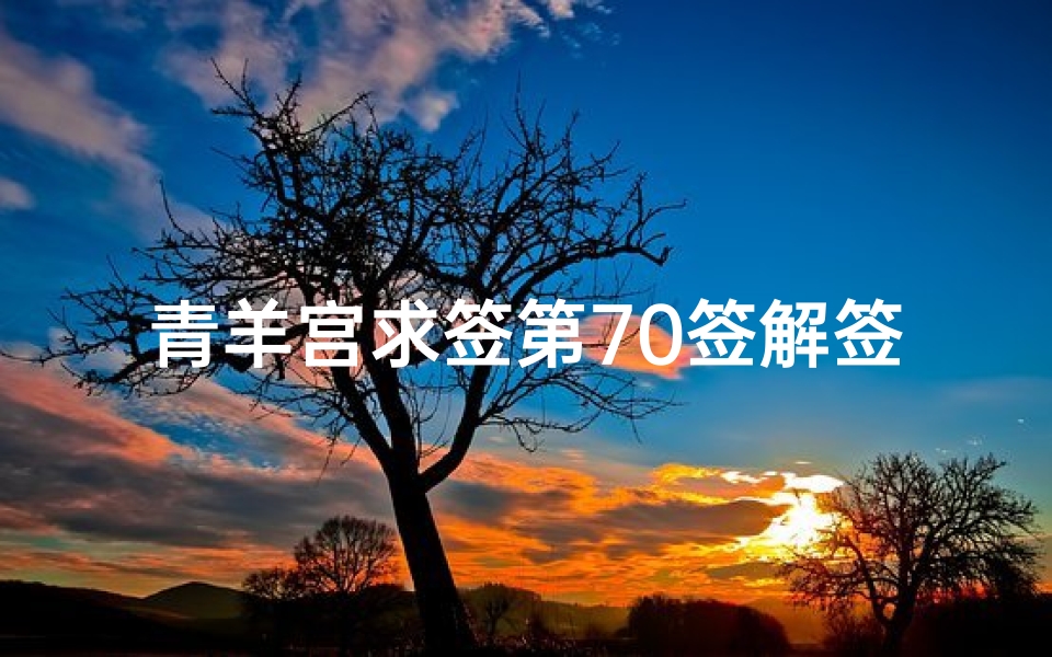 青羊宫求签第70签解签(青羊宫求签可以求几次)