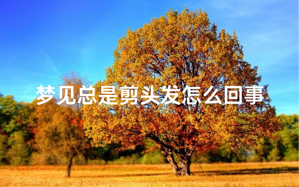 梦见总是剪头发怎么回事;经常梦到剪头发好不好