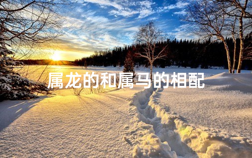 属龙的和属马的相配