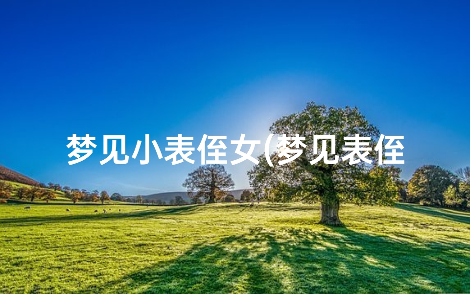 梦见小表侄女(梦见表侄女不在了啥意思)-海瑞算卦网
