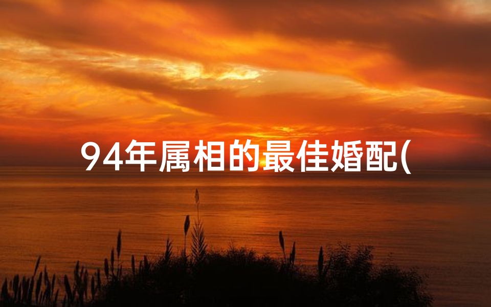 94年属相的最佳婚配(94年属狗的属相婚配表2024)