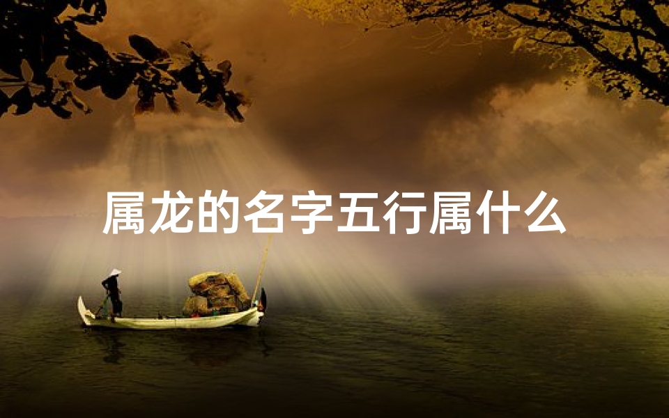 属龙的名字五行属什么