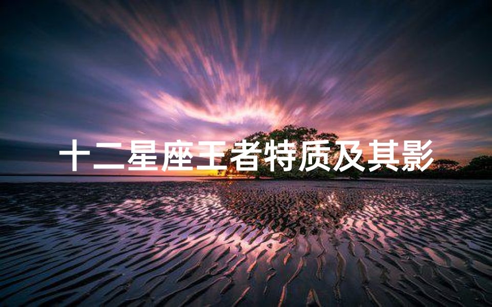 十二星座王者特质及其影响力解析