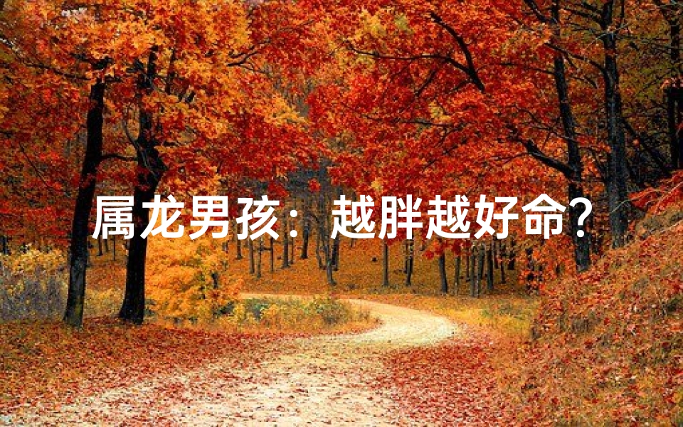 属龙男孩:越胖越好命?揭秘胖命之谜