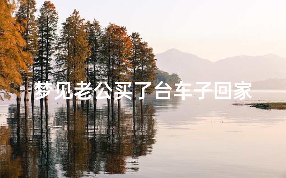 梦见老公买了台车子回家-梦见老公买了台车子回家了