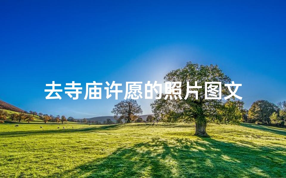 去寺庙许愿的照片图文