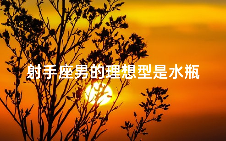 射手座男的理想型是水瓶吗;射手男性观念-海瑞算卦网