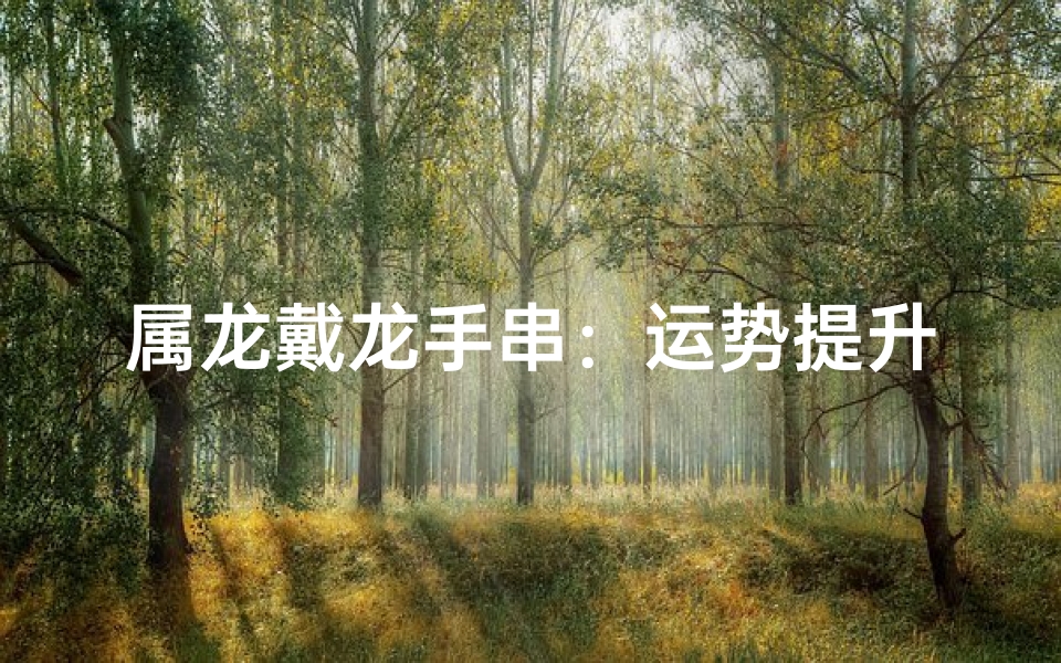 属龙戴龙手串:运势提升的秘密?-海瑞算卦网