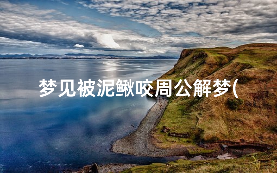 梦见被泥鳅咬周公解梦(梦见泥鳅咬自己)