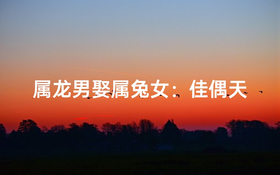 属龙男娶属兔女:佳偶天成,龙兔情缘