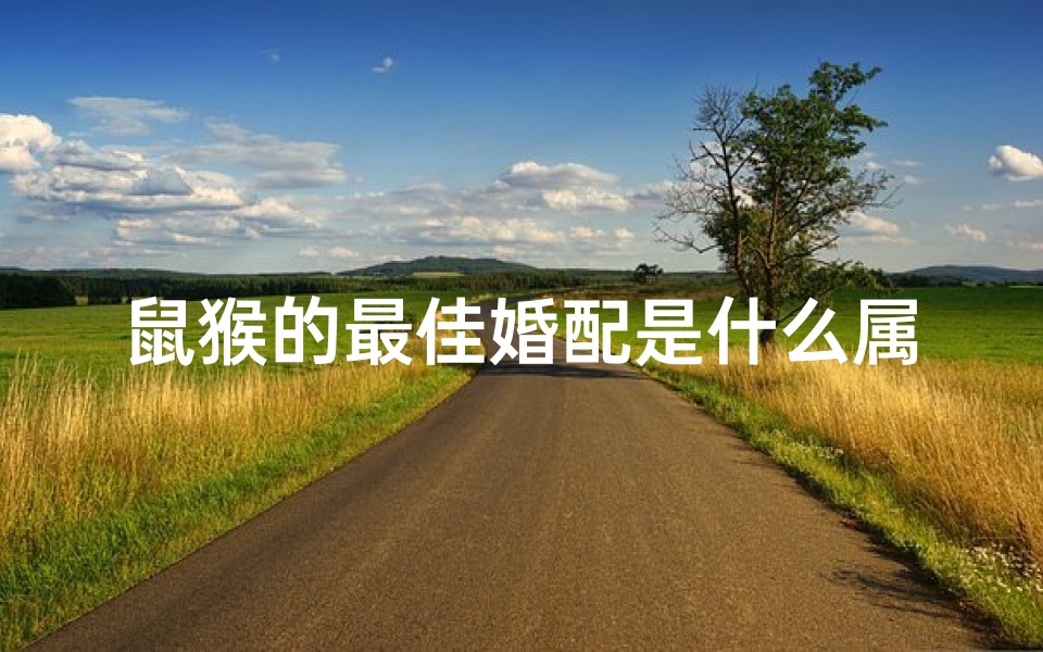 鼠猴的最佳婚配是什么属相(属猴女和什么属相最配)