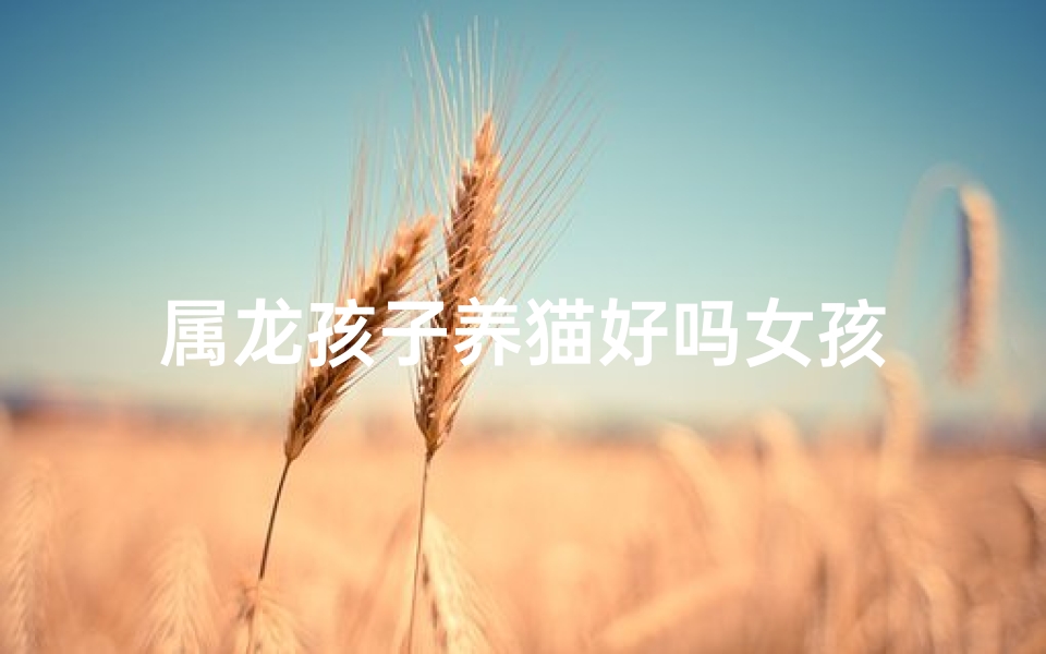 属龙孩子养猫好吗女孩