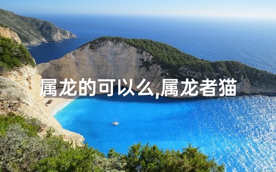 属龙的可以么,属龙者猫宜忌揭秘