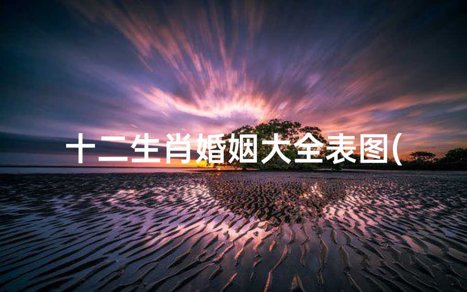 十二生肖婚姻大全表图(十二生肖婚姻配对表)