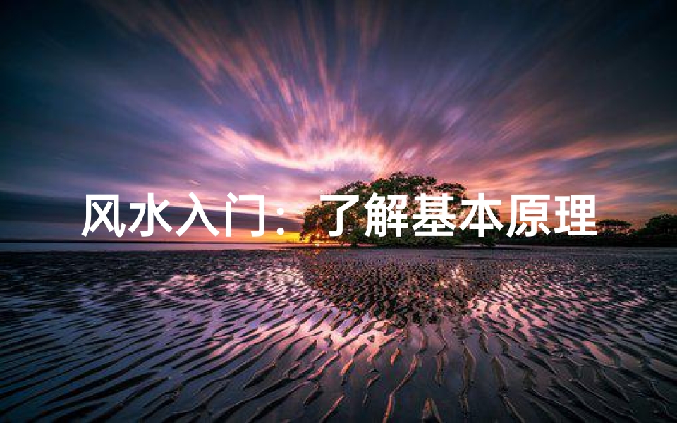 风水入门:了解基本原理和应用