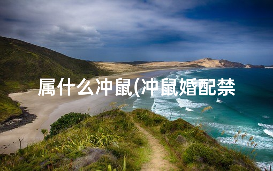属什么冲鼠(冲鼠婚配禁忌:属鼠人真的不能结婚吗?)