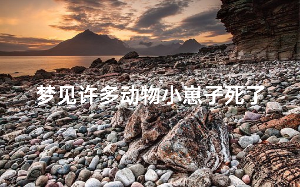 梦见许多动物小崽子死了、梦见很多动物崽子-海瑞算卦网