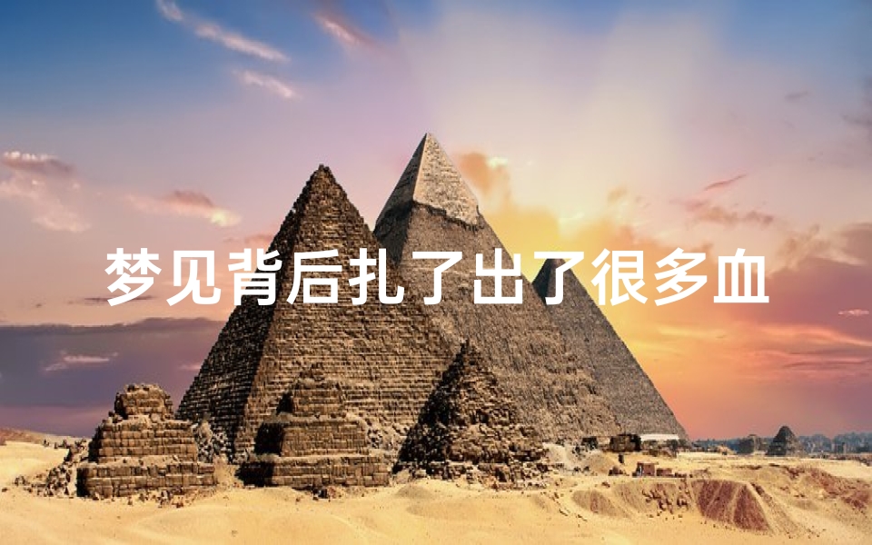 梦见背后扎了出了很多血_梦见背上扎了好多针,是什么预兆