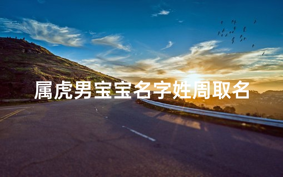 属虎男宝宝名字姓周取名
