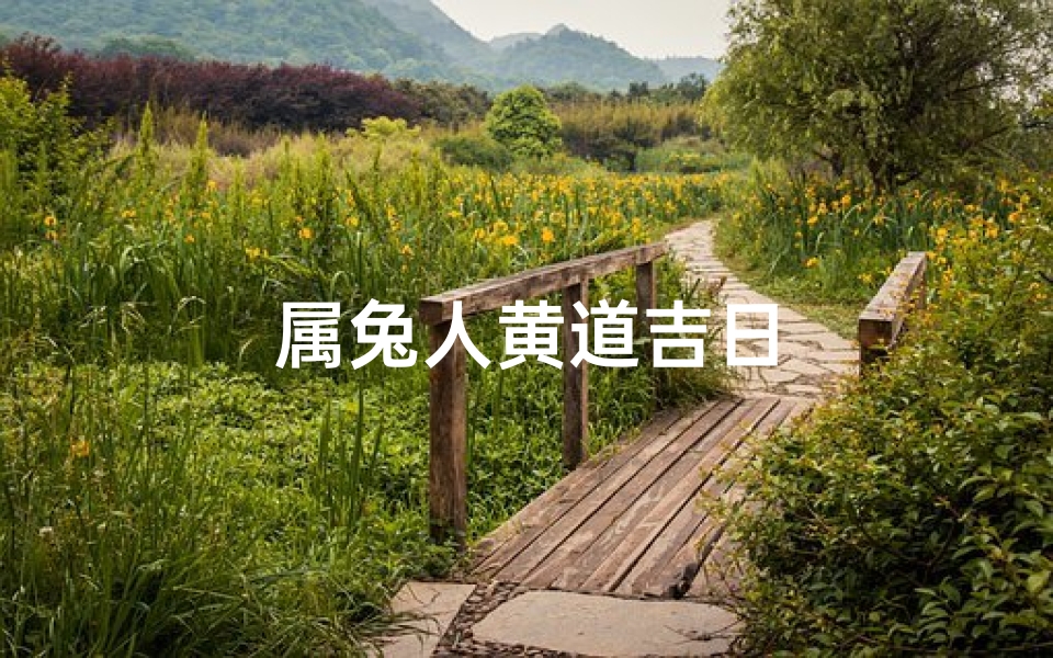 属兔人黄道吉日