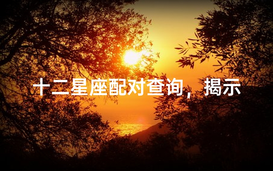 十二星座配对查询,揭示星座间的爱情密码