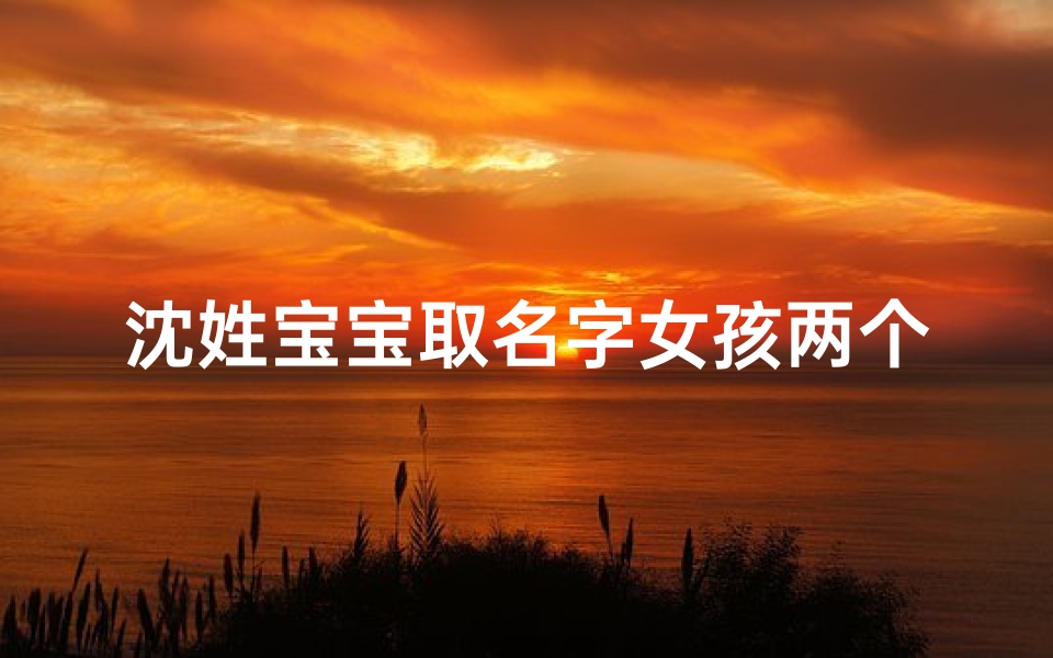 沈姓宝宝取名字女孩两个字-海瑞算卦网