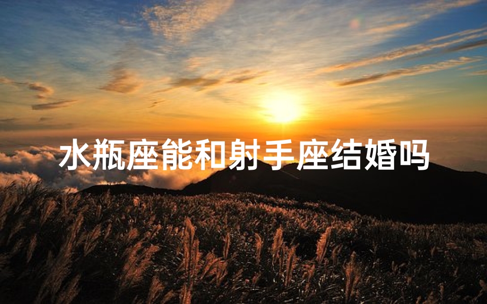 水瓶座能和射手座结婚吗、水瓶座和射手座可以做朋友吗