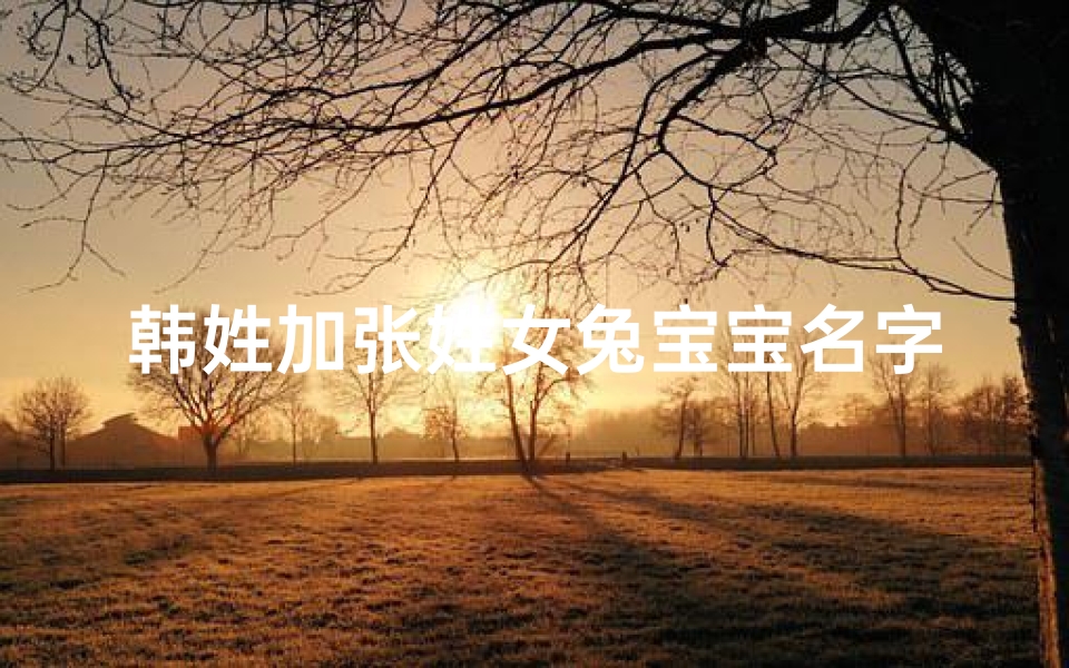 韩姓加张姓女兔宝宝名字怎么取-韩张瑞兔,萌动春光小公主