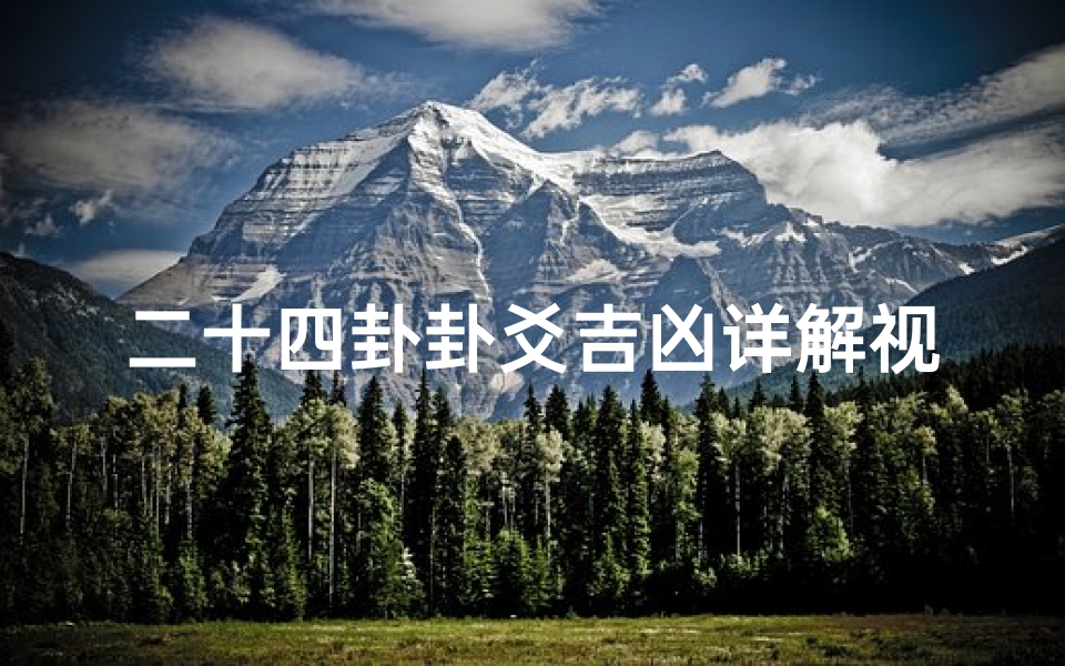 二十四卦卦爻吉凶详解视频;《二十四卦爻辞精解:卦象吉凶预测指南》-海瑞算卦网