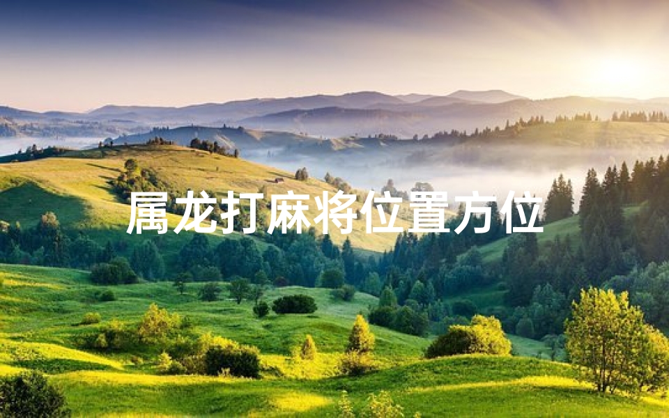 属龙打麻将位置方位