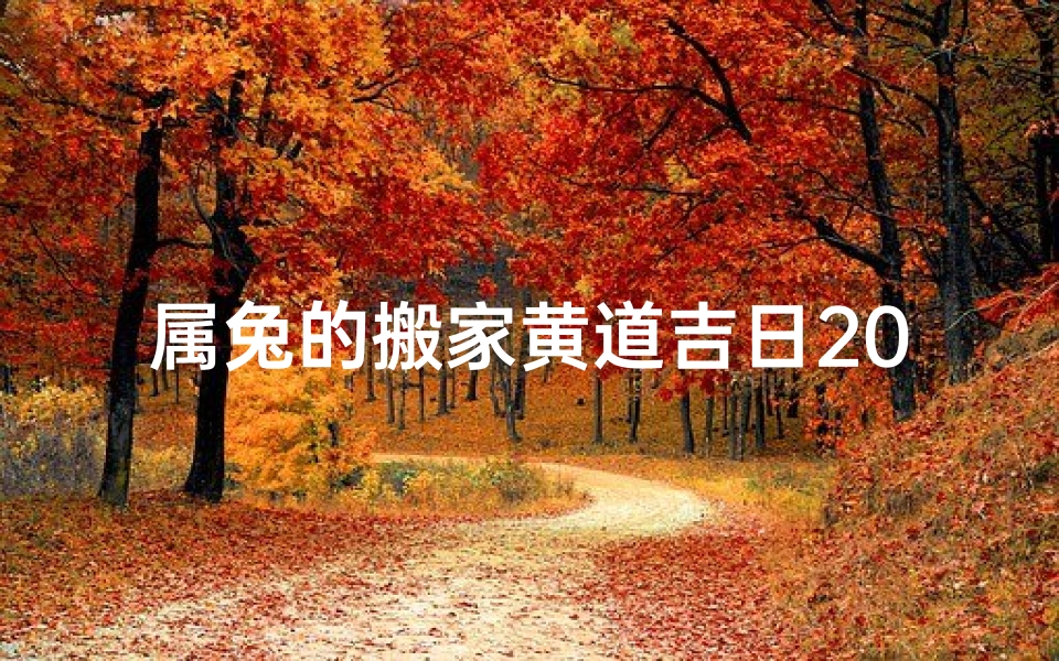 属兔的搬家黄道吉日2024年-属兔搬家吉日:好运连连,乔迁之喜