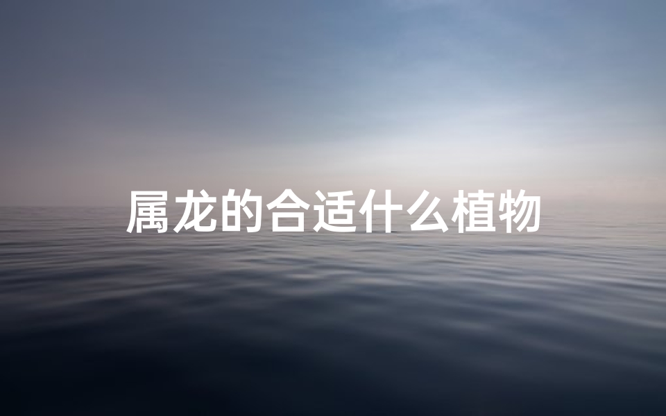 属龙的合适什么植物
