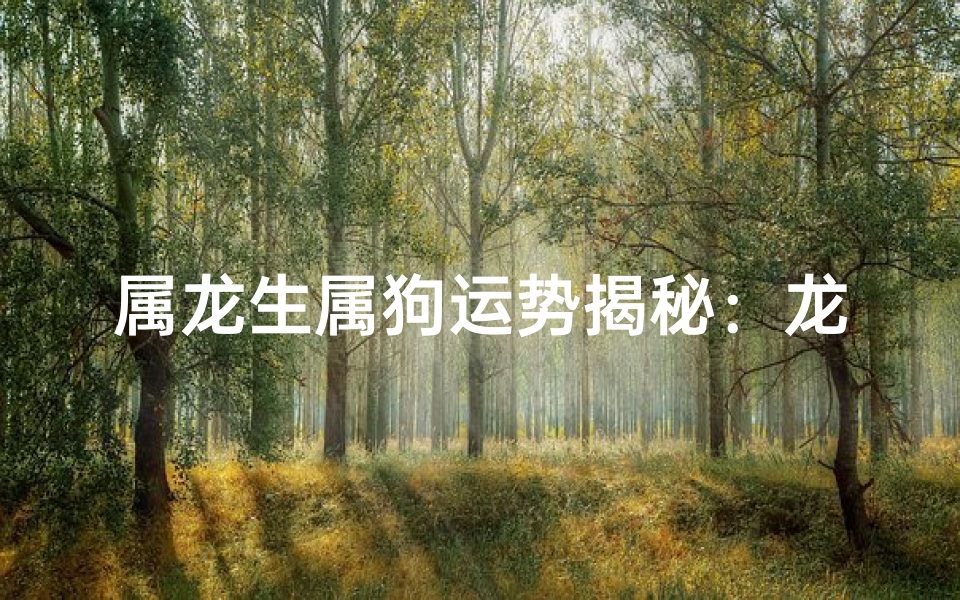 属龙生属狗运势揭秘:龙狗组合大揭秘