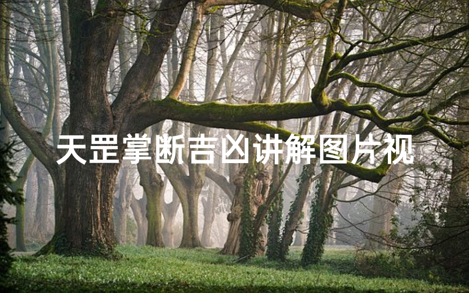 天罡掌断吉凶讲解图片视频(《天罡掌断吉凶:揭秘神秘掌法奥秘视频教程》)