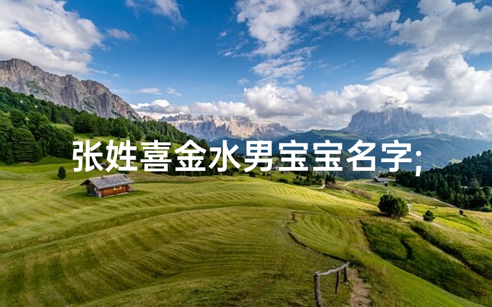 张姓喜金水男宝宝名字;张姓缺金缺水男孩名字大全