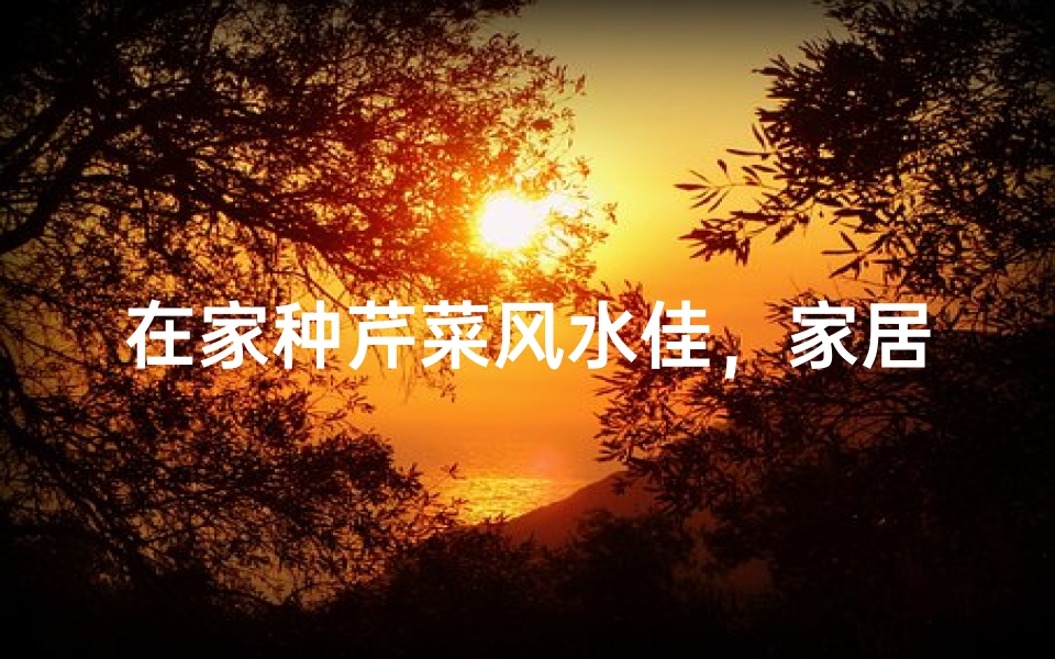 在家种芹菜风水佳,家居绿意添好运