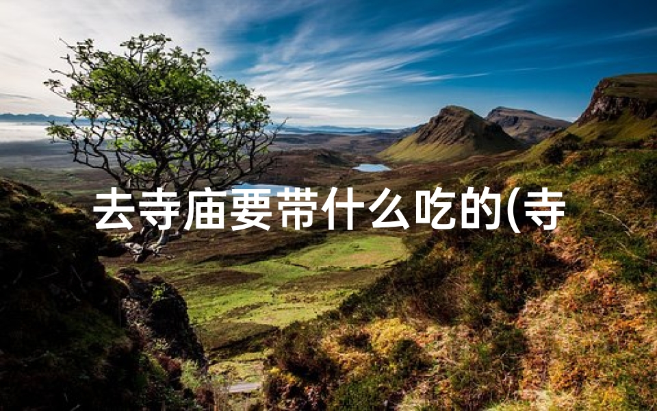 去寺庙要带什么吃的(寺庙之行必备美食清单)