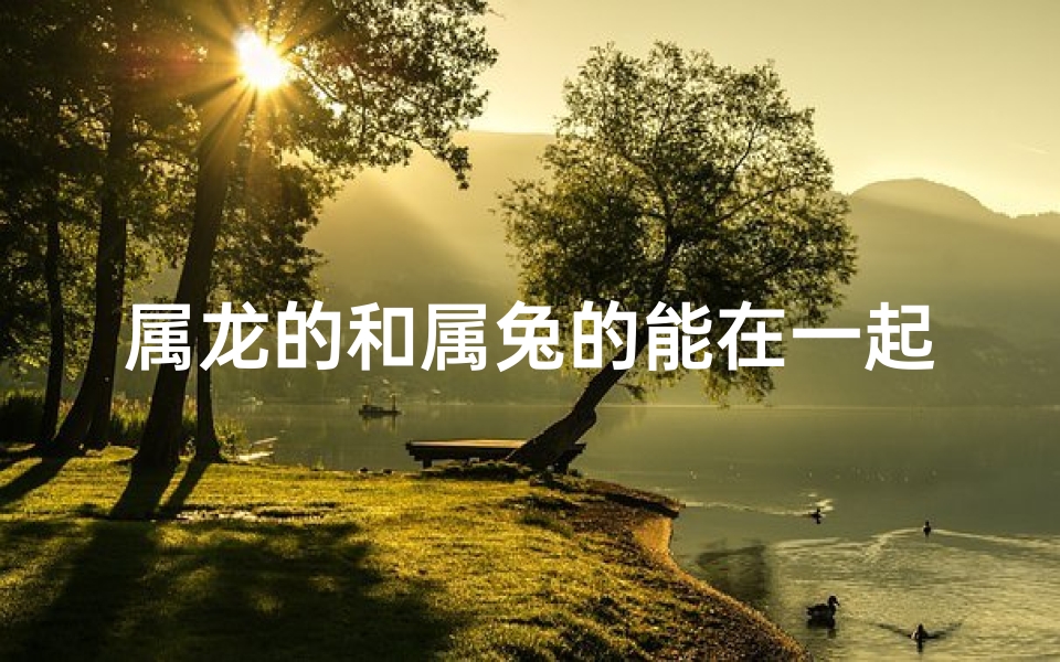 属龙的和属兔的能在一起吗?_属龙遇属兔:缘定三生情意浓